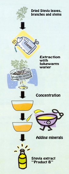 stevia concentration 1